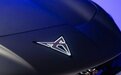 或是大众集团在华最帅纯电轿跑SUV，聊Cupra Tavascan，如何破局？