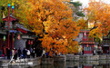 颐和园：冬日彩叶缤纷 美景如画