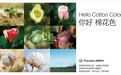 全棉时代棉田溯源：180天见证一朵棉花的生长