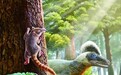 填补中耳演化研究空白 我国古生物学家发现“梦幻小兽”