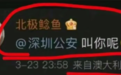 北极鲶鱼的爷爷确实贪了，9位数的赃款呢？