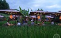 “稻田餐厅”受追捧 释放“夜经济”新活力