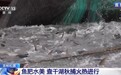 鱼肥水美 喜迎丰收！一网打出五万斤 查干湖秋捕火热进行