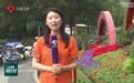 江苏各地喜迎中秋国庆 焕然一新扮靓城市乡村 多彩活动厚植家国情怀