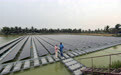 孟加拉国首个水上漂浮太阳能光伏发电站
