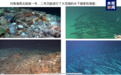 南海西北陆坡一号和二号沉船遗址水下调查获重要新进展
