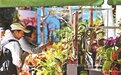 国家植物园展出珍稀植物