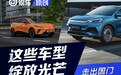 走出国门展现中国新能源实力 哪些车型已绽放光芒