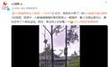 大熊猫爬树主打就是一个“快”字，网友：旁边树上还挂着一个