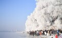 热雪沸腾吉林行｜一辈子一定要来一次吉林市滑粉雪赏雾凇