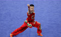 武术——男子南拳：中国选手曹茂园夺冠(2)