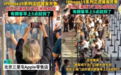 北、上、深苹果门店排长龙，渠道商：一小时一个价！