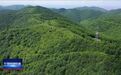 保障野生动物迁徙安全！宁夏固原为野生动物建设“绿色通道”