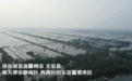 中国VLOG｜流域性特大洪水 实探海河东淀蓄滞洪区