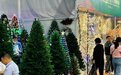 广交会·产业新动能⑦丨圣诞树厂家蜂拥广交会，“在危机中寻找商机”