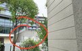 云求助丨水泥高墙“围”了业主视野 开发商：手续合规，正在协商处理