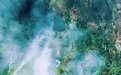 奔赴山林间，去寻找凉山的春天