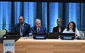 美国专家们如何看待哈美高层会谈？