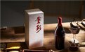 华润雪花烈性啤酒“醲醴”亮相中国酒业30年纪念酒发布盛典