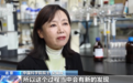 希望做“有用”的化学 她带领团队破解了人工光合作用的奥秘