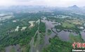 广西桂林“漓江之肾”会仙湿地景色如画