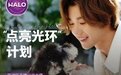 北美知名宠粮品牌Halo自然光环联手孙滢皓为流浪动物带来「生命的转折」
