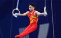 体操——男子吊环决赛赛况