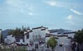 古村落“植入”数字世界 沉浸式游览让流量变“留量”