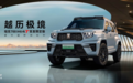 中国品牌独一无二大排量混动，坦克700 Hi4-T首发限定版55秒全部售罄