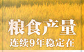 数读中国这十年 | 粮食产量连年稳定在1.3万亿斤以上 中国饭碗牢牢端在自己手上