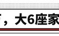 30万级最佳奶爸车？领克大战理想，谁更值得选？