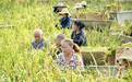 四川隆昌：让粮仓装满好粮 稻虾田喜获丰收