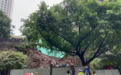 重庆通远门城墙局部墙体滑落原因公布：雨水下渗致墙体内水压速增
