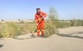 高质量发展调研行｜阿瓦提县24万亩荒漠披绿装