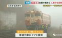 日本全国爆黑熊危机？彪形大熊撞火车还与路人肉搏，警察束手无策被团灭？