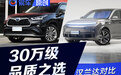 谁才是30万级SUV品质之选？汉兰达对比理想L8、途昂、唐DM-p