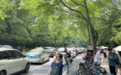 杭州部分景区打车难？实地探访：有司机拒载，也有漫天要价