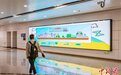 垃圾分类融入“新日常”重庆市民低碳生活成“新时尚”