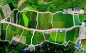重庆酉阳：美丽乡村入画来