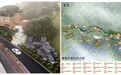 豪丽生态科技园揭牌，科技文化双璧汇聚惠州 —— 以茶为媒，讲好中国故事