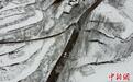 一场雪，豫西山岭成了水墨画