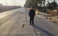 渣土车带泥上路污染路面，武汉柏泉街综合执法路长锁定肇事车辆