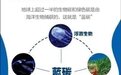 全国首单“蓝碳”拍卖将在浙江象山举行，每吨30元起拍