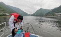 从“三艘船”看新安江生态之变