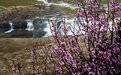 黄河壶口瀑布迎来“桃花汛”