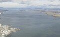 日本最大湖泊大批水鸟死亡：原因不明 专家呼吁不要接触尸体