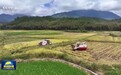 农机穿梭好“丰”景 各地抢抓农时收秋粮