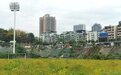 洋河体育场“大变身”：球场变草场，看台成苗圃，主席台上烤全羊