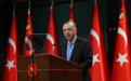 埃尔多安：土耳其议会将在10月审议瑞典入约申请