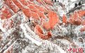 豫西山区：雪映丹霞 宛若画屏